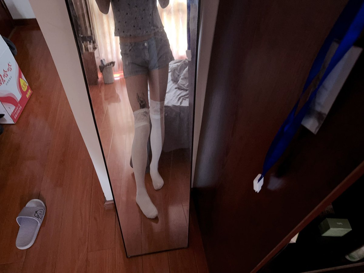 一只小圆圆（重生版） tweet media