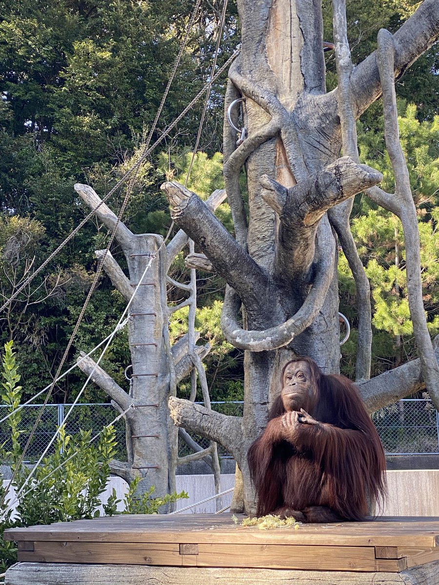 Sleep Deeply＠日本一周中 tweet media