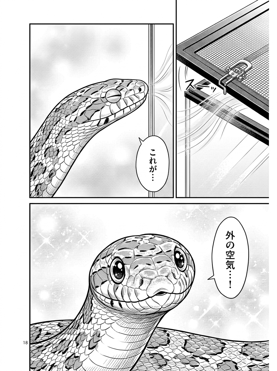 MOOTOON【公式】 tweet media