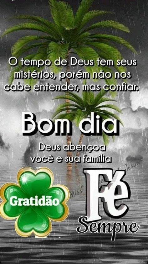 José Carlos F. Silva tweet media