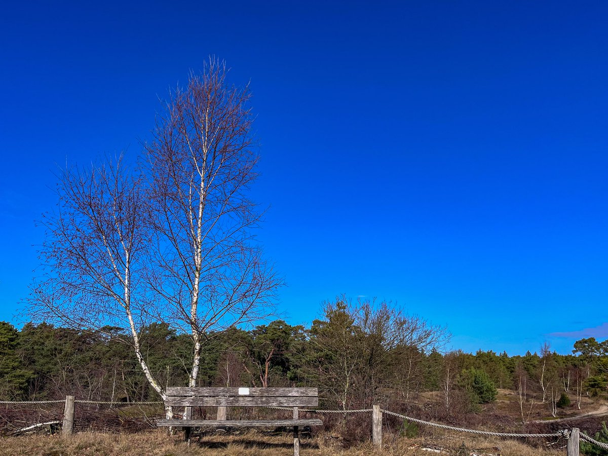 Wulan ♡ tweet media