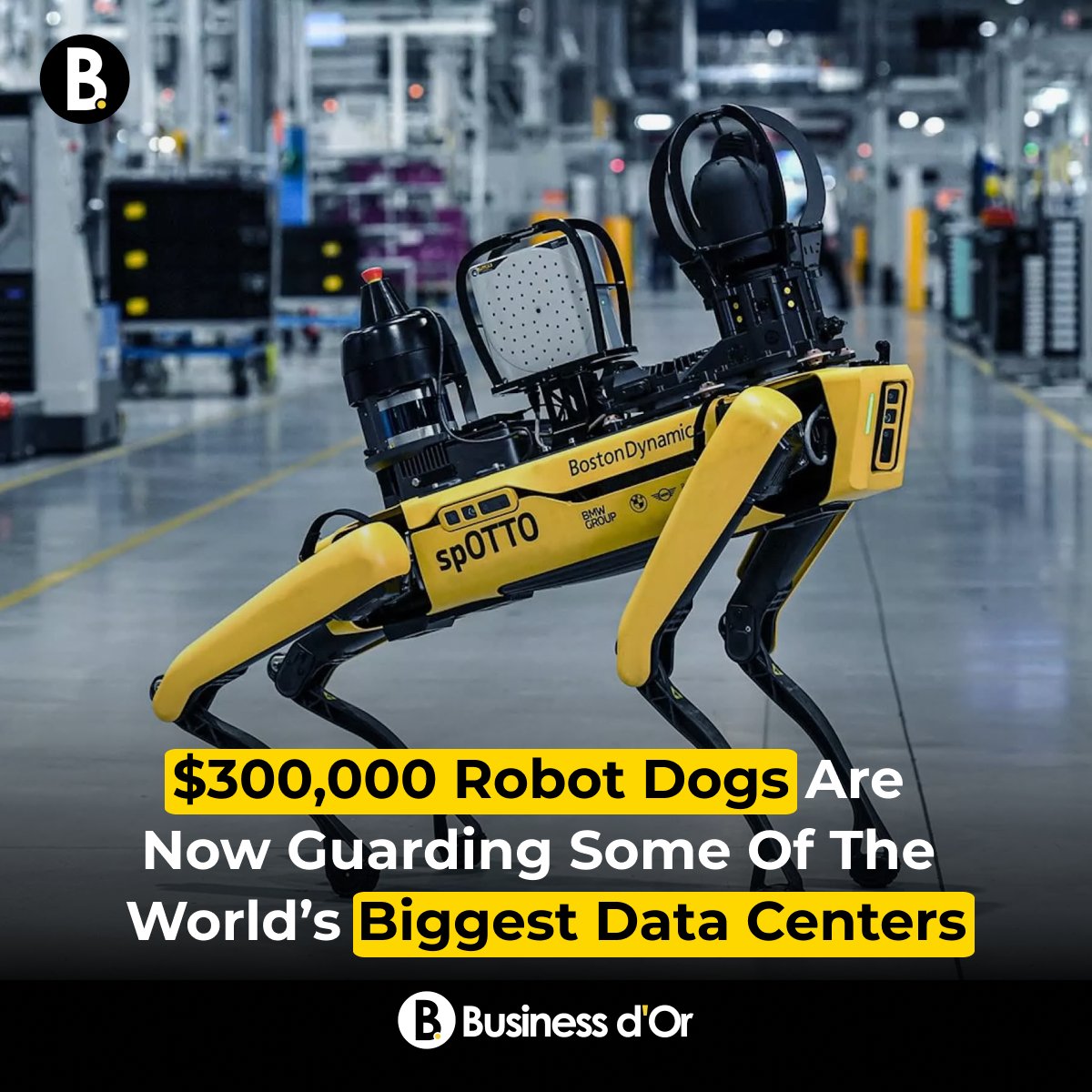 Business d'Or tweet media