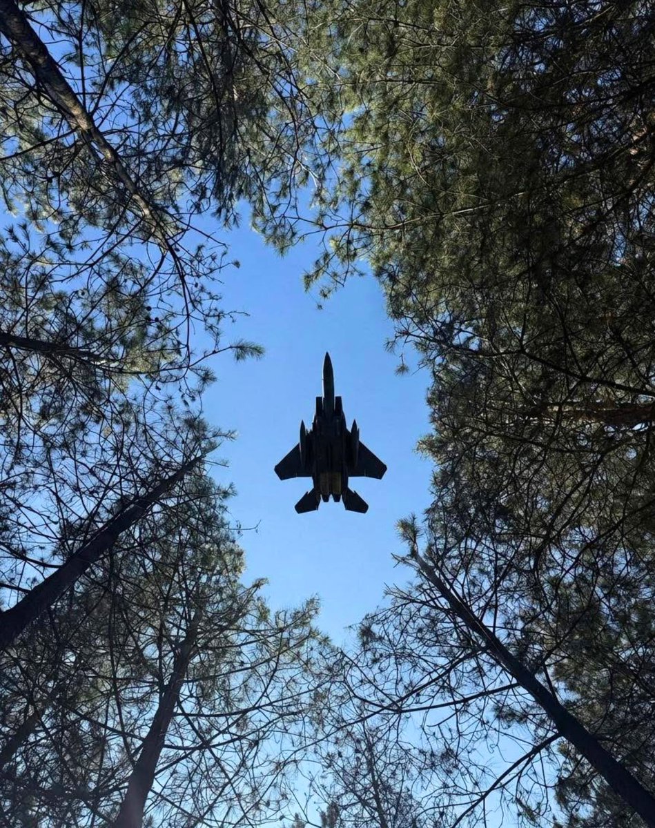 Virginie Sigonney 🇫🇷 tweet media