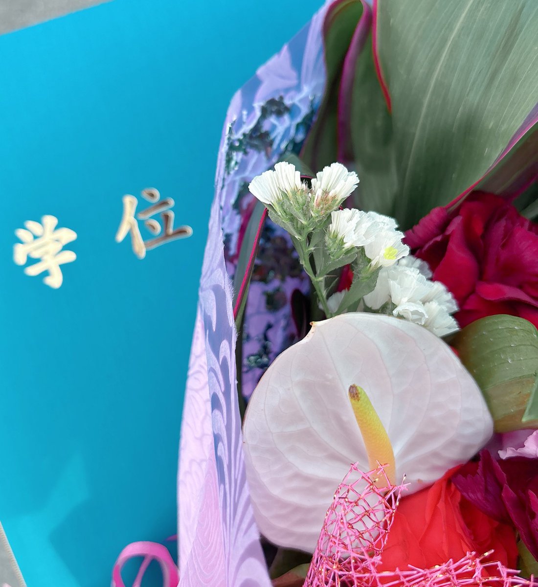 楚夏部すう/Sokabe tweet media