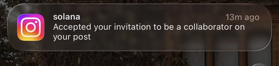 Edimoya📸 tweet media