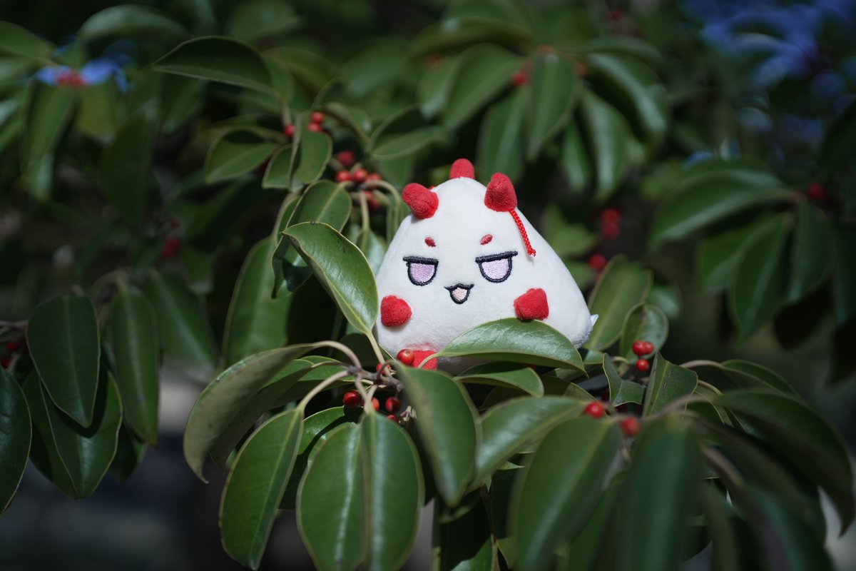 ＜• 리트 •＞ tweet media