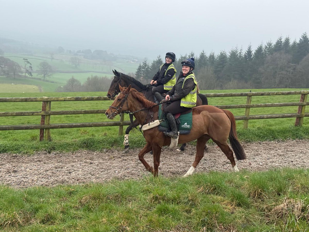 𝐊𝐞𝐫𝐫𝐲 𝐋𝐞𝐞 tweet media