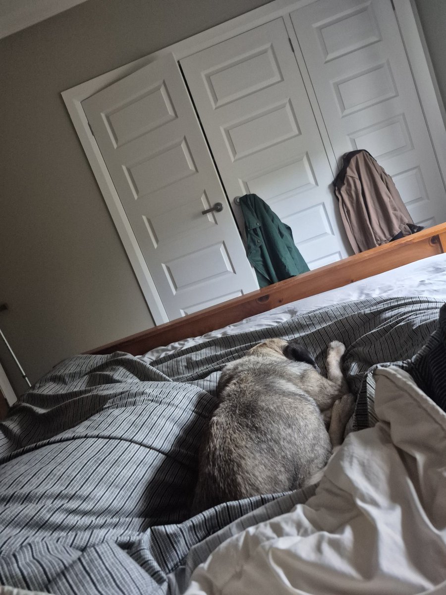 Vera(dical leftist) tweet media