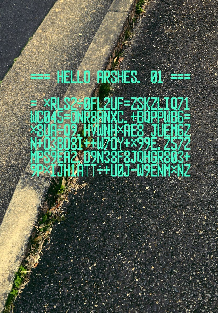 折登 樹 tweet media