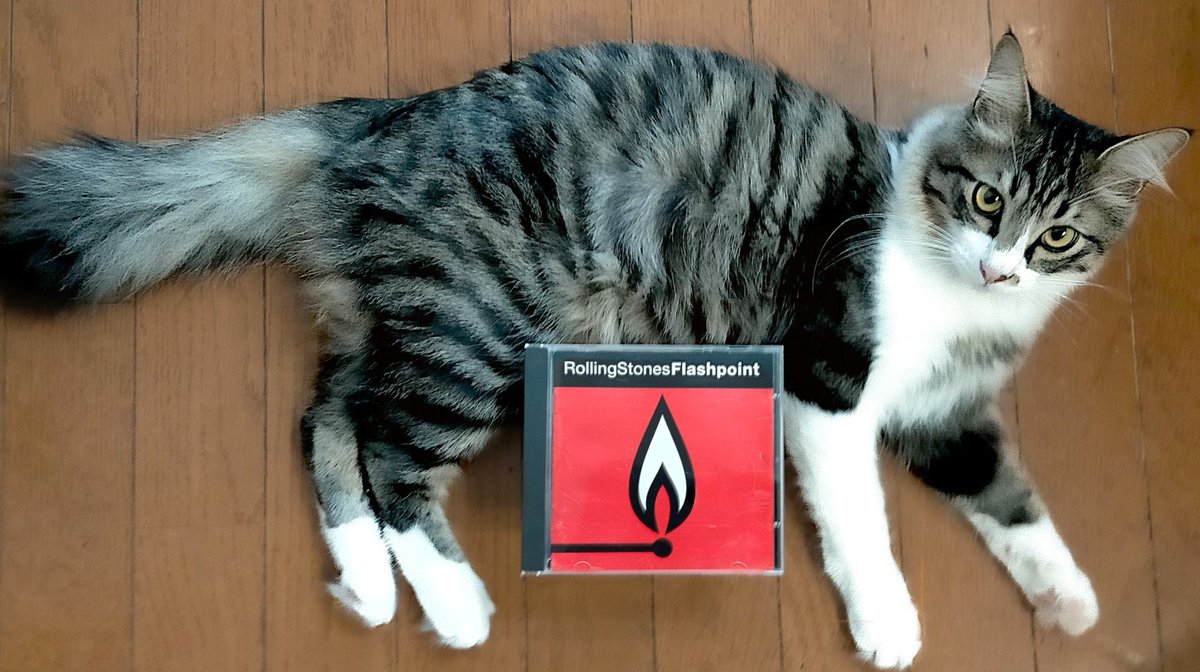 タウンゼント tweet media