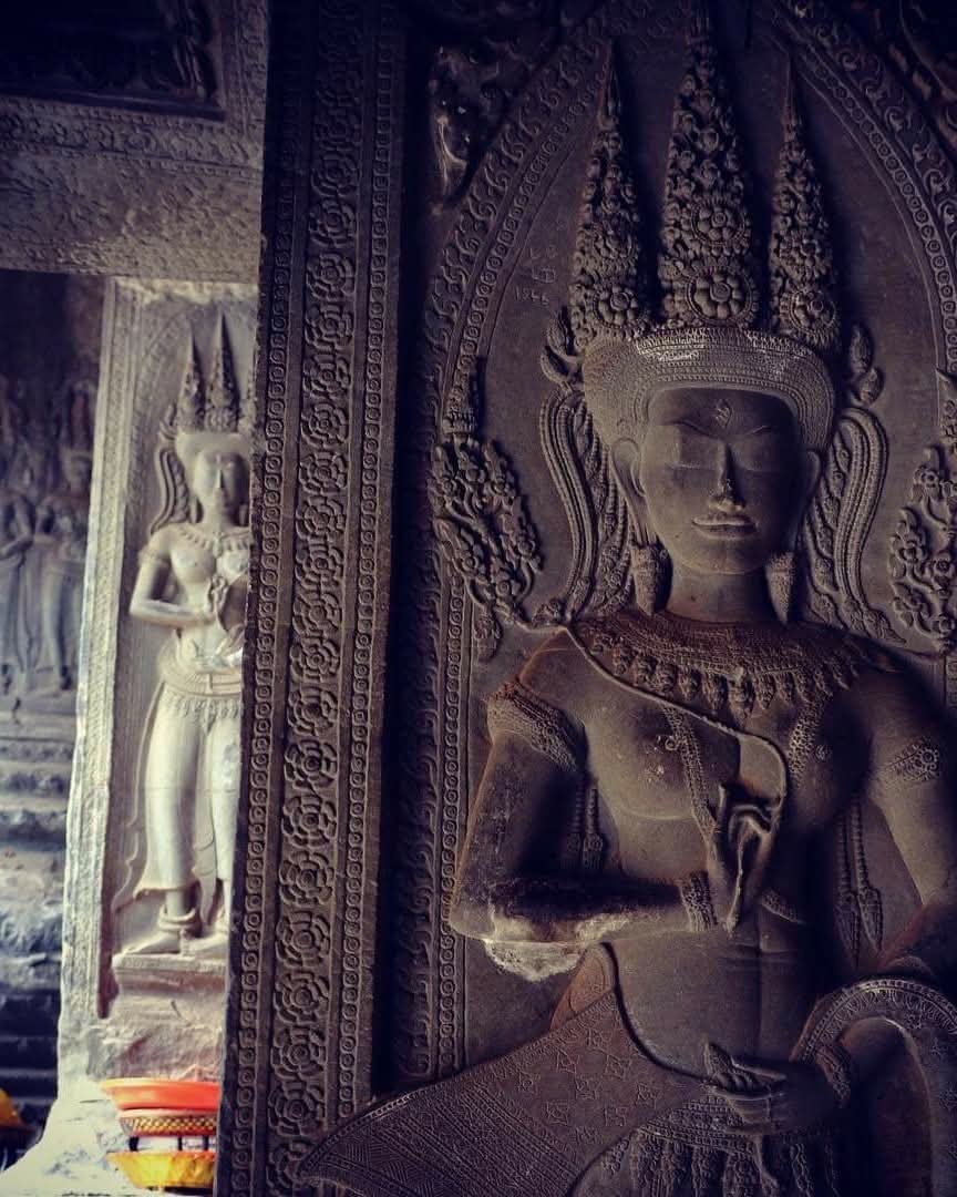 Phal Virak - ផល វីរៈ tweet media