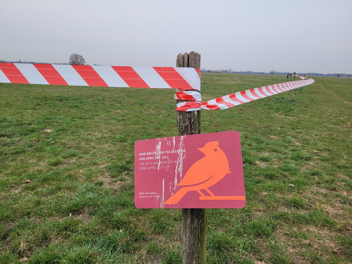 Klaus Grote tweet media