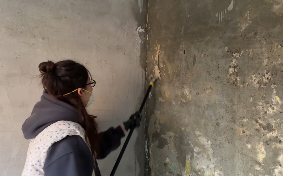 묘묘밈 tweet media