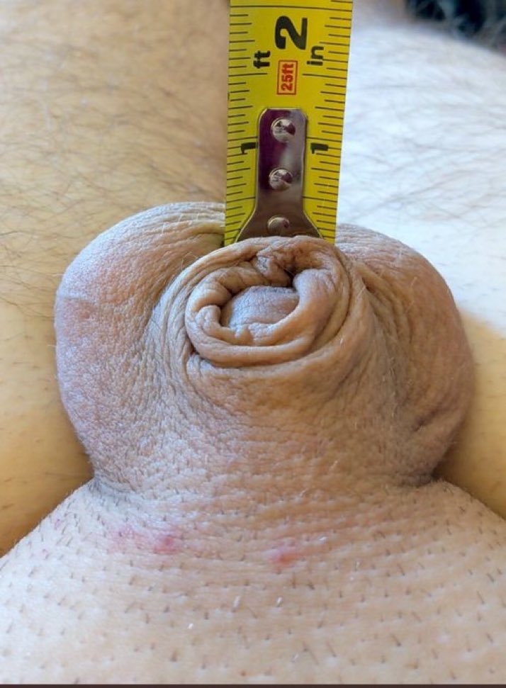 𝓜𝓞𝓜𝓜𝓨 𝓢𝓒𝓗𝓞𝓞𝓛 𝓞𝓕 𝓓𝓞𝓜𝓘𝓝𝓐𝓣𝓘𝓞𝓝 tweet media