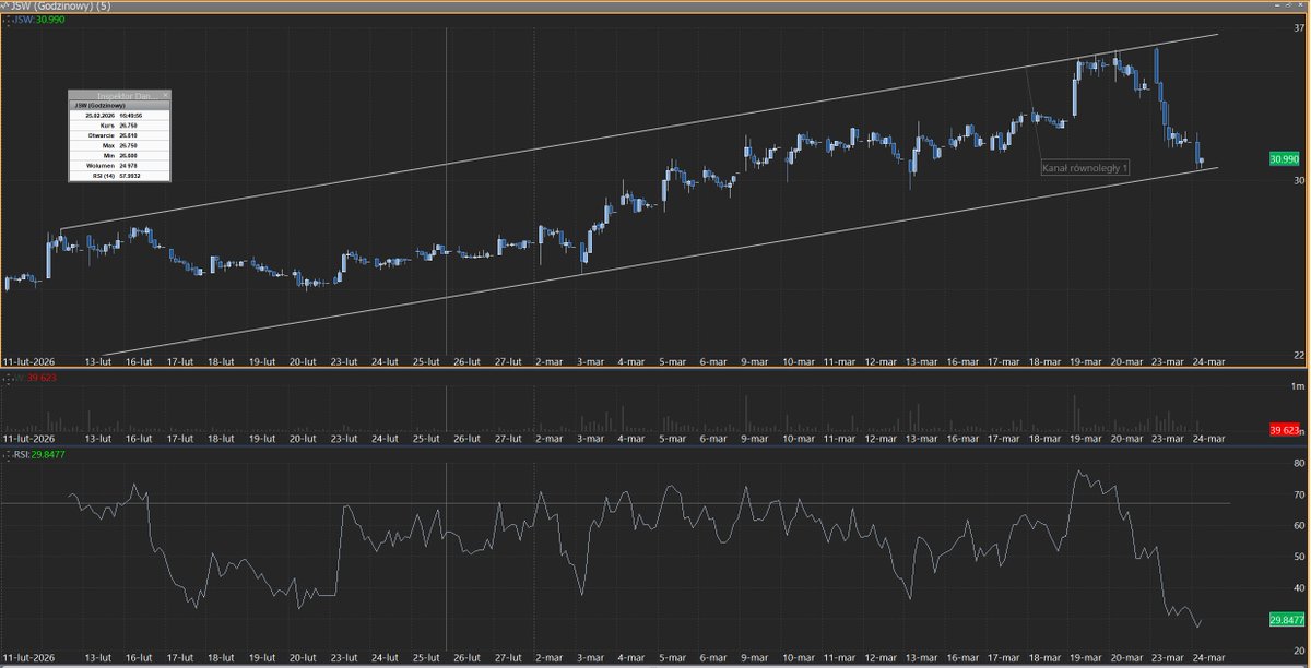 ynwestor tweet media