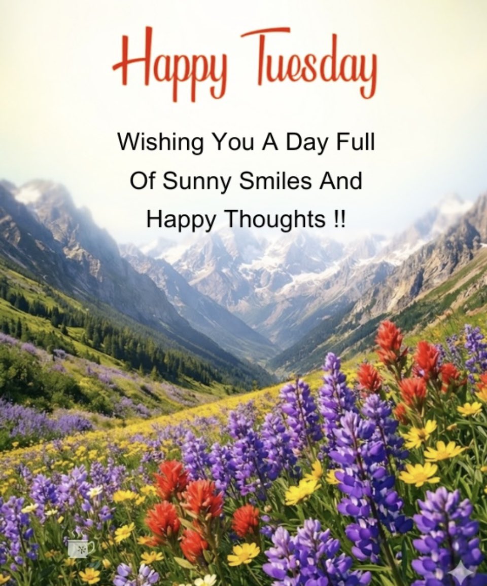 amber stone🍁🇨🇦🍁 tweet media