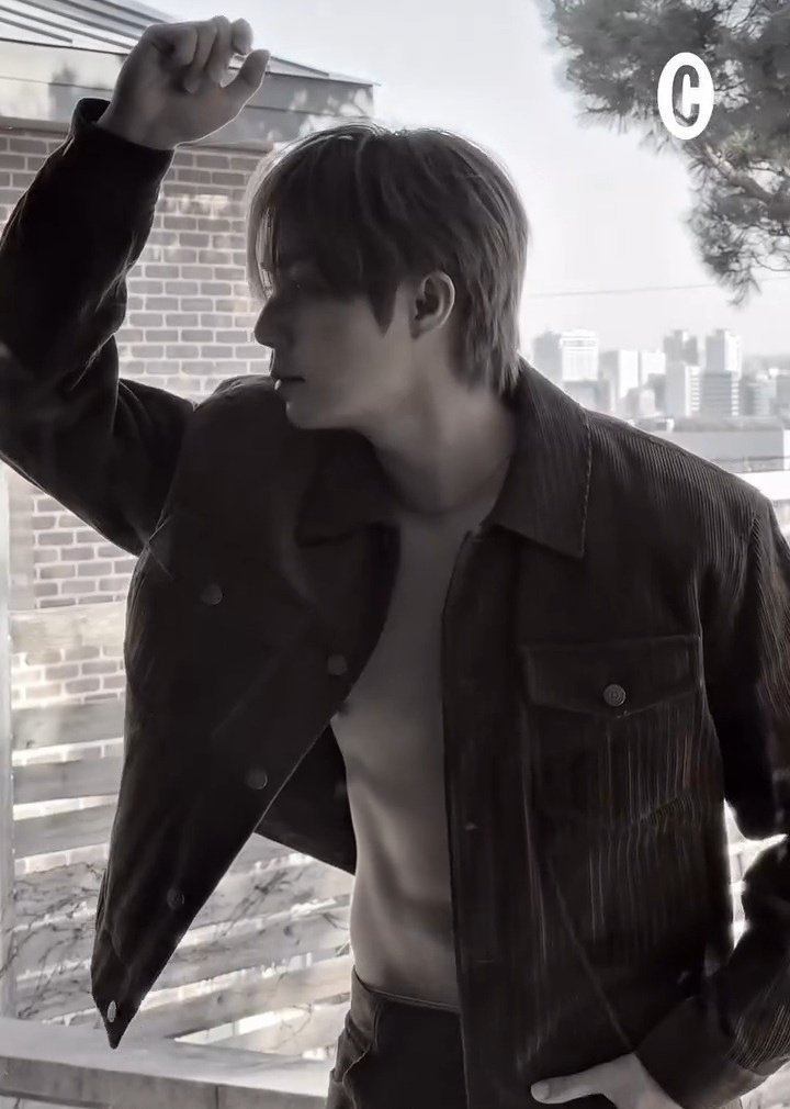 ▼・ᴥ・▼ tweet media