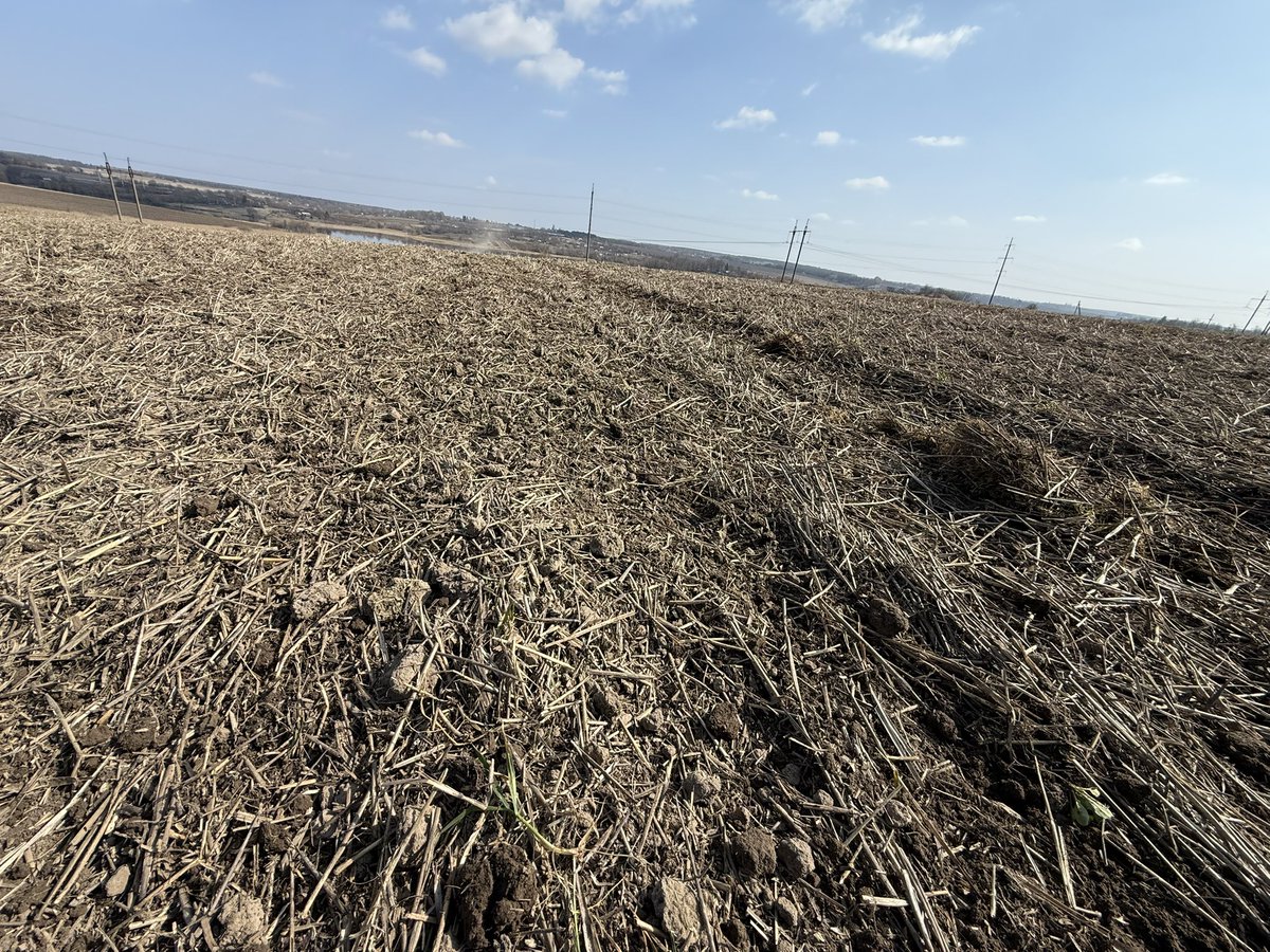 🇺🇦Yaroslav🇺🇦 tweet media