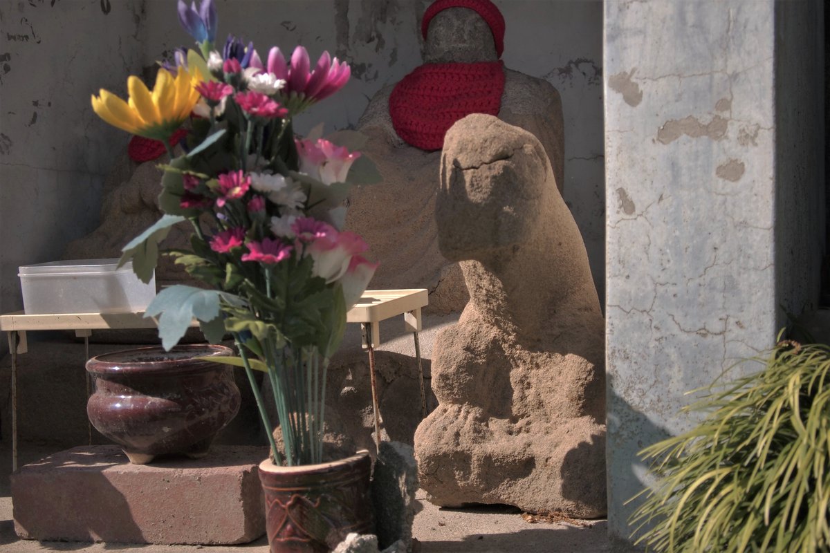 米子力研究所 tweet media