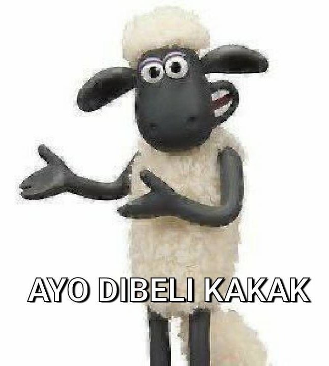 Quina🌞 jual followers ig instagram tiktok murah tweet media