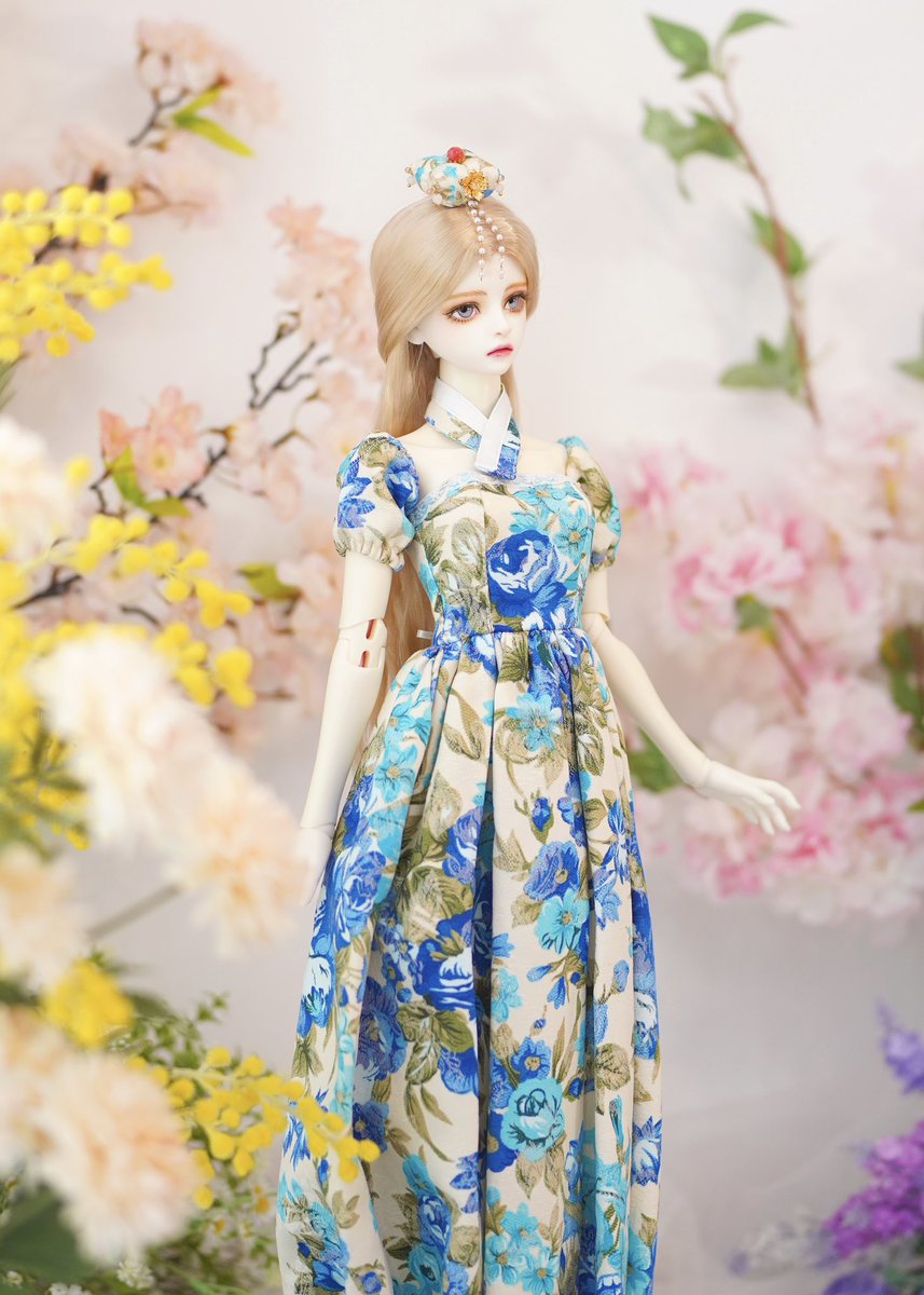 앙고라 tweet media