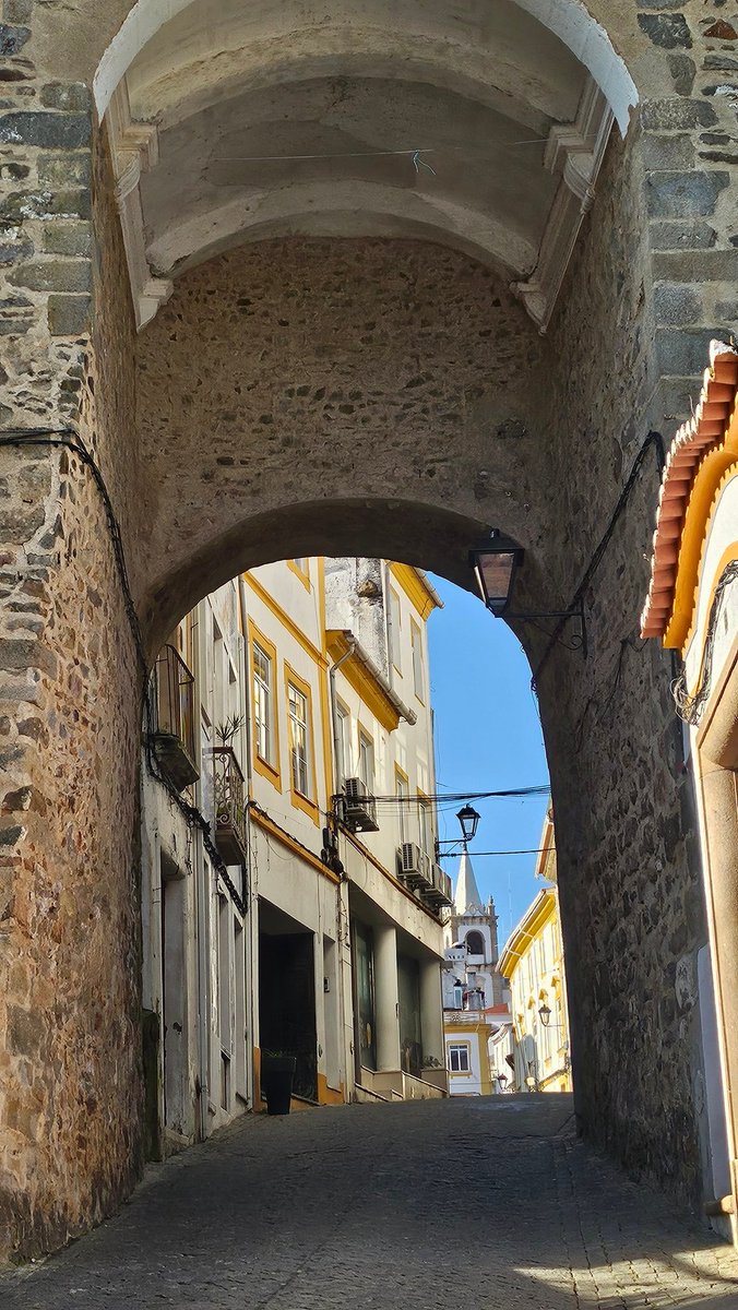 VelhoGlobus tweet media