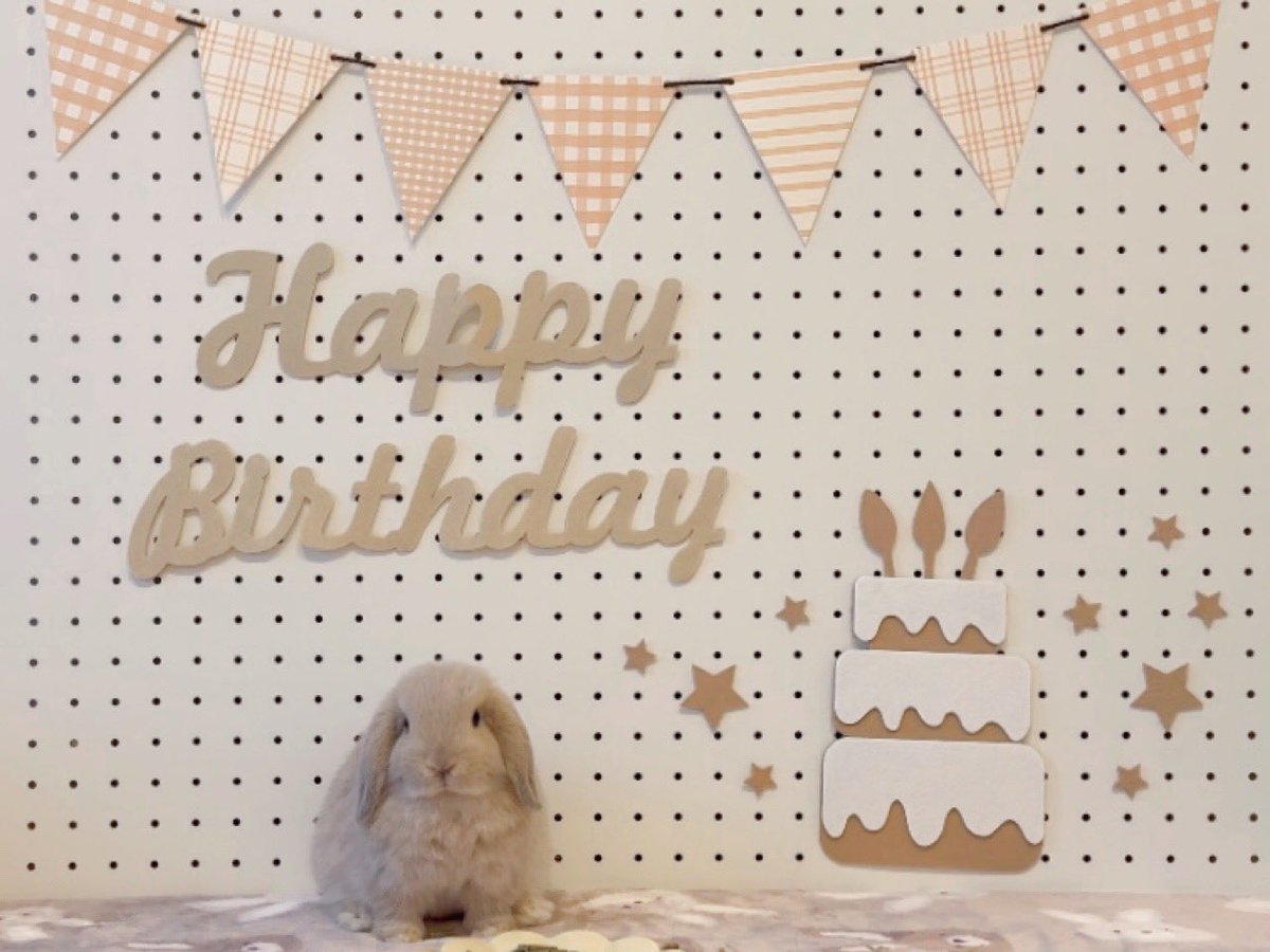 おいしいプリン tweet media