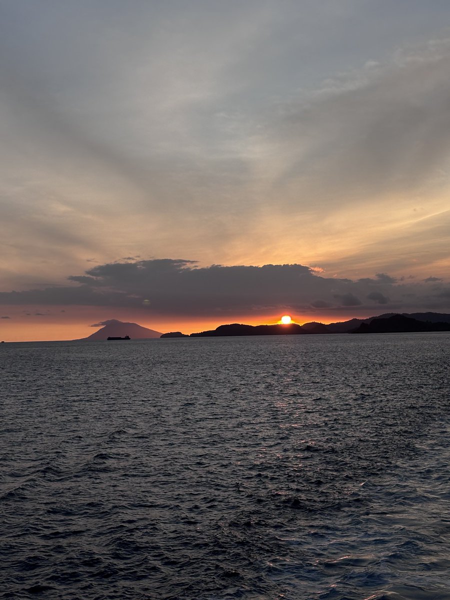 ✰ niccy tweet media