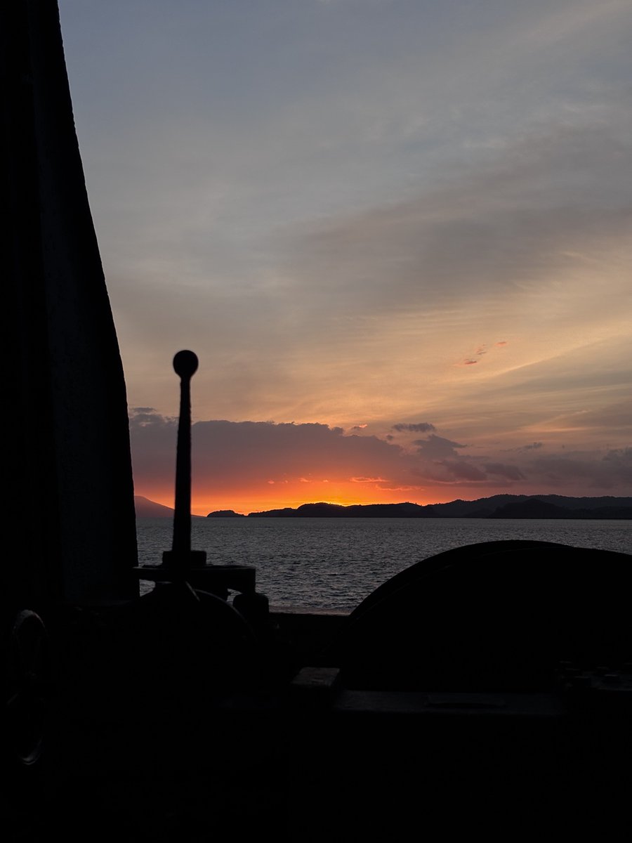 ✰ niccy tweet media