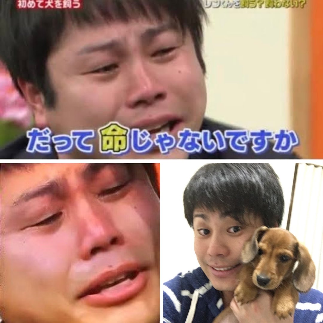 さとうの芸能雑学 tweet media