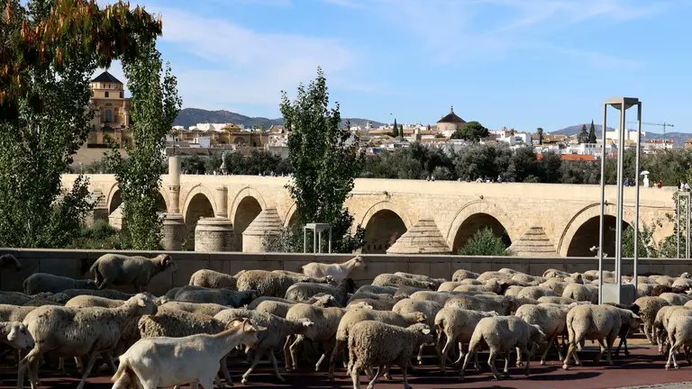 @Interovic tweet media