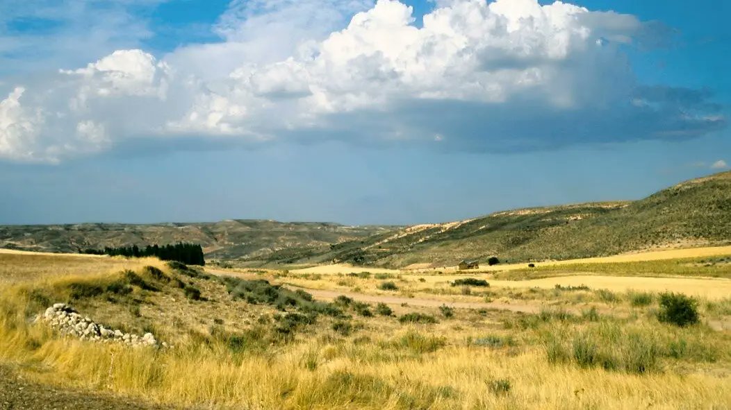 @Interovic tweet media