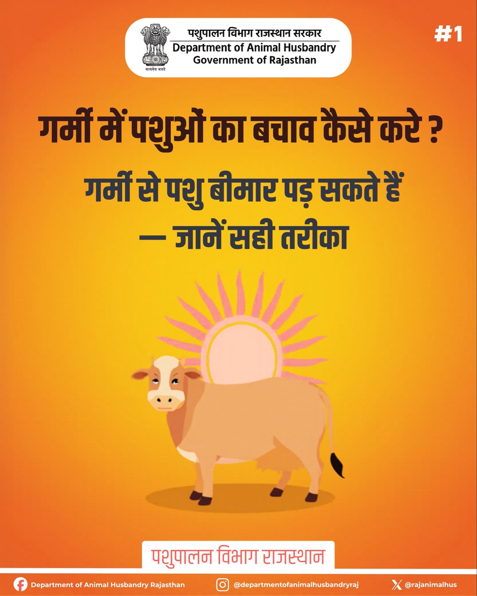 Department of Animal Husbandry Rajasthan tweet media