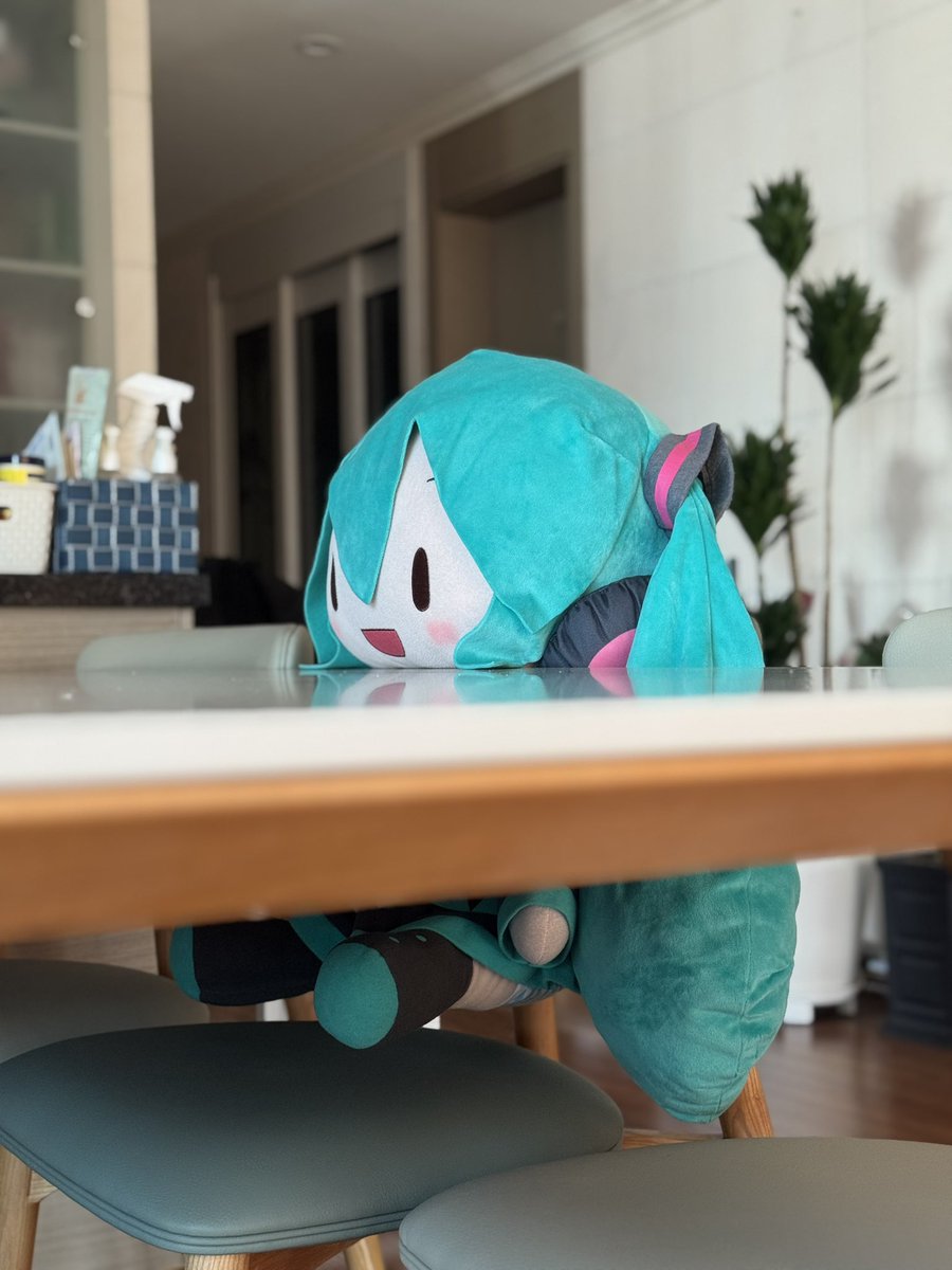 늅이밐붕이 tweet media