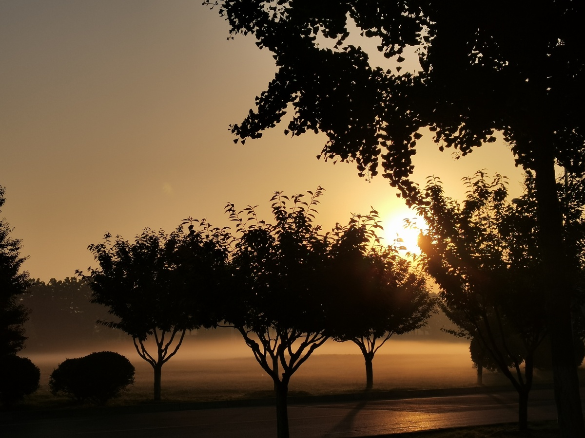 Matthew Ramos tweet media