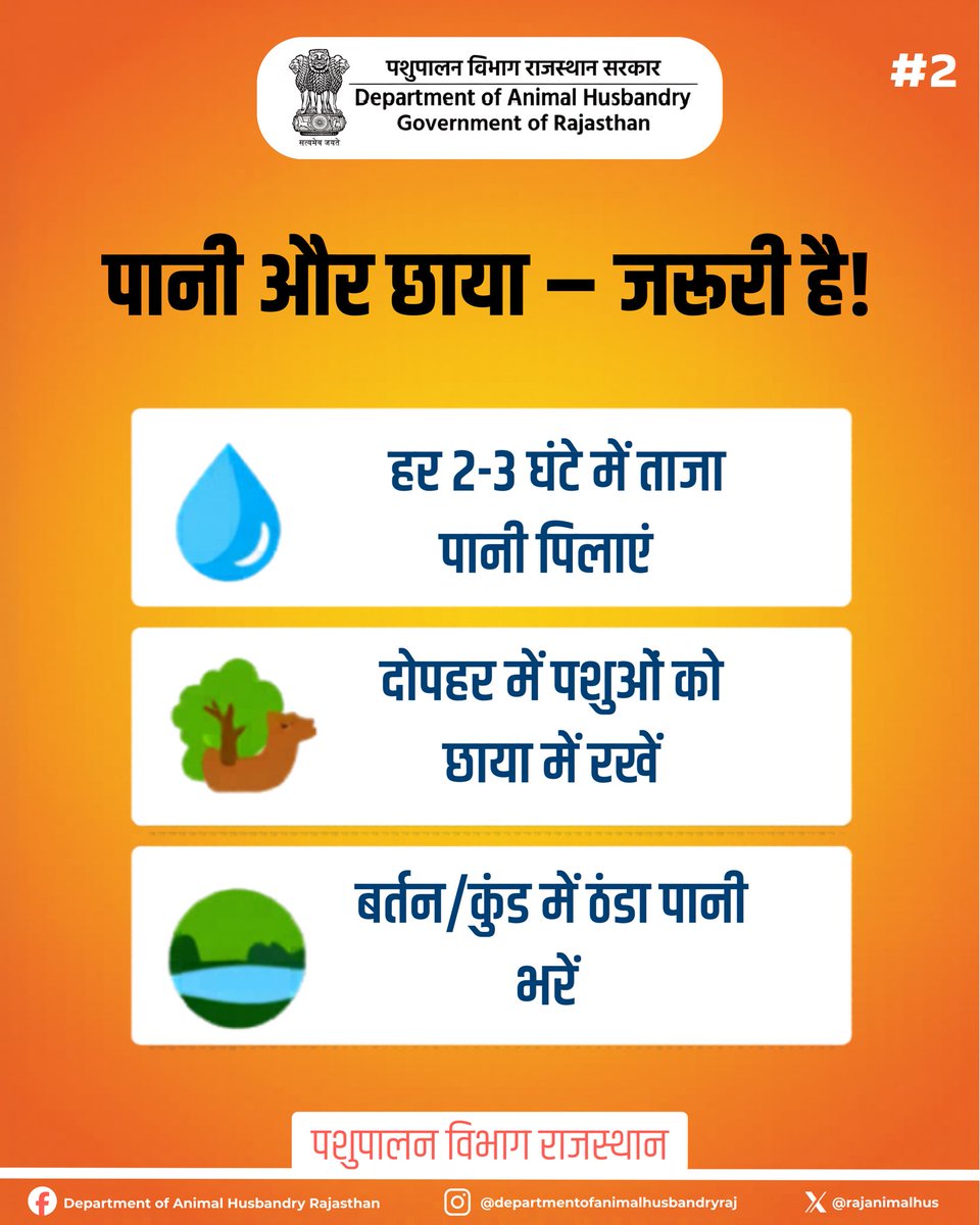 Department of Animal Husbandry Rajasthan tweet media