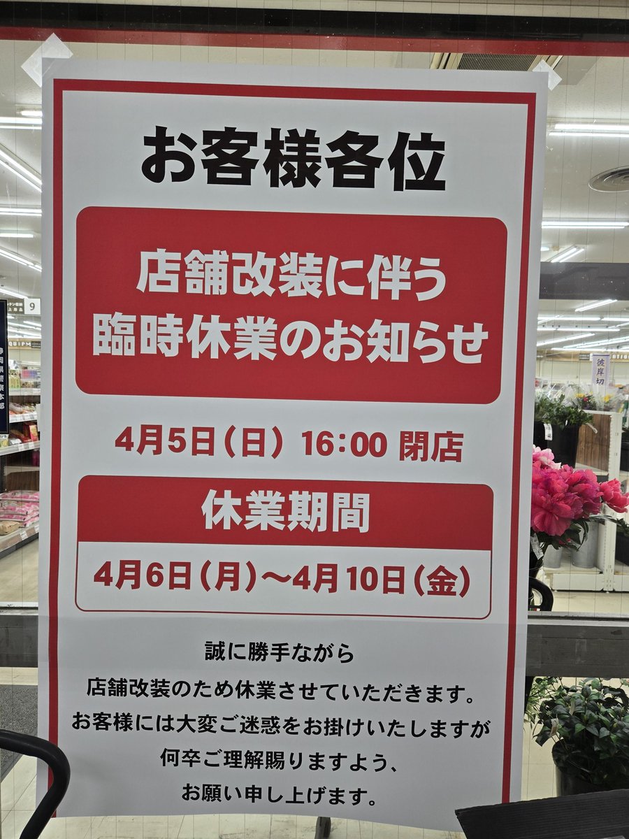 いさお静岡応援団(´∀｀)つ🍵 tweet media