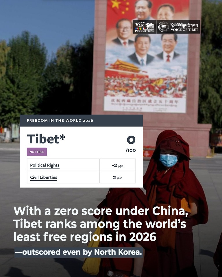 Lhamu dupling tweet media