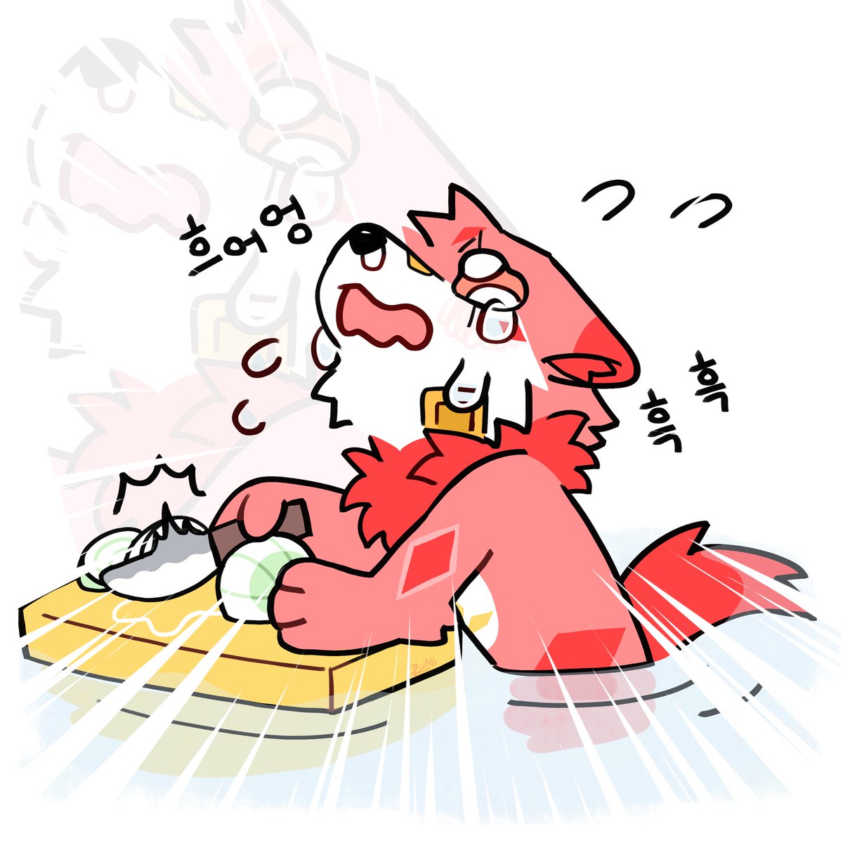 늑고🔜미정 tweet media