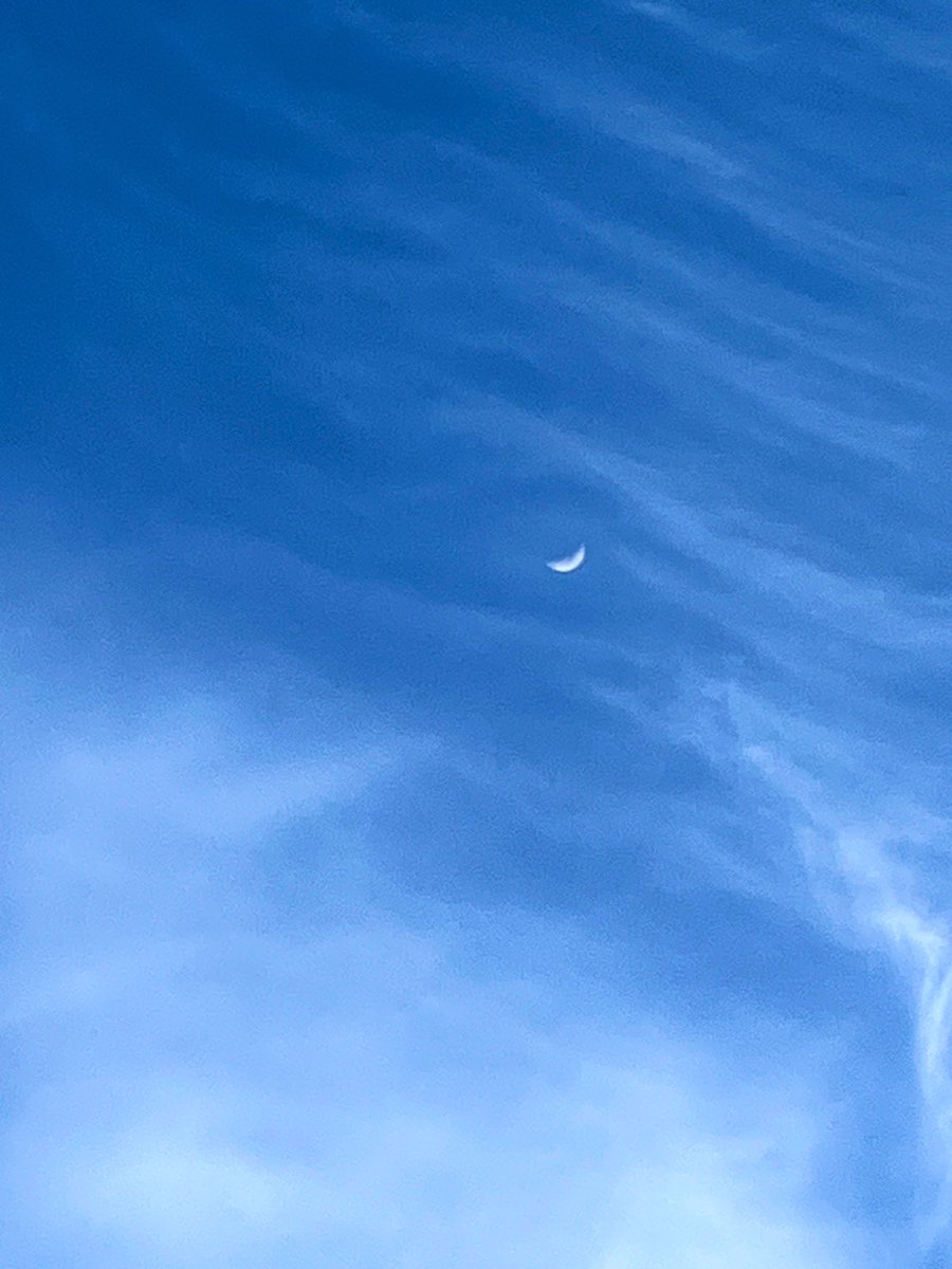 プシプシナ☁️ tweet media