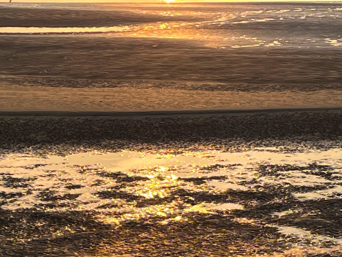 プシプシナ☁️ tweet media