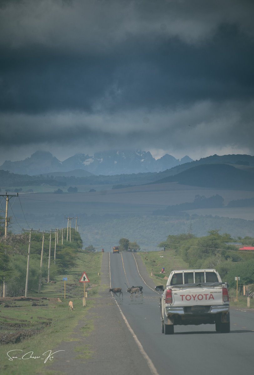 ˢᵘⁿ_ᶜʰᵃˢᵉʳ ☀️📸 tweet media