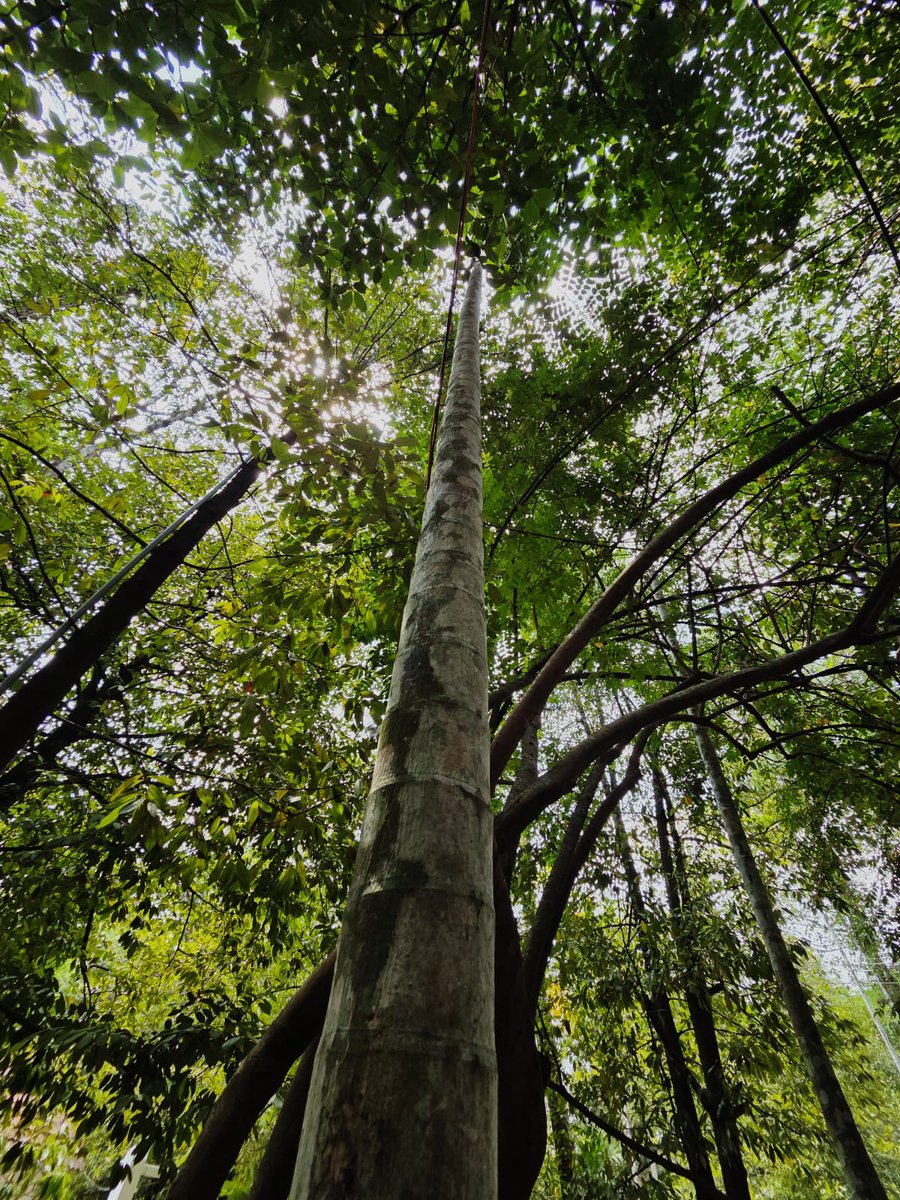 🍂My Green Zone🍃 tweet media