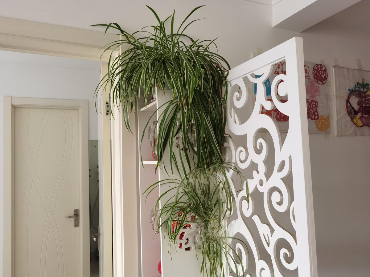 Susan Bishop tweet media