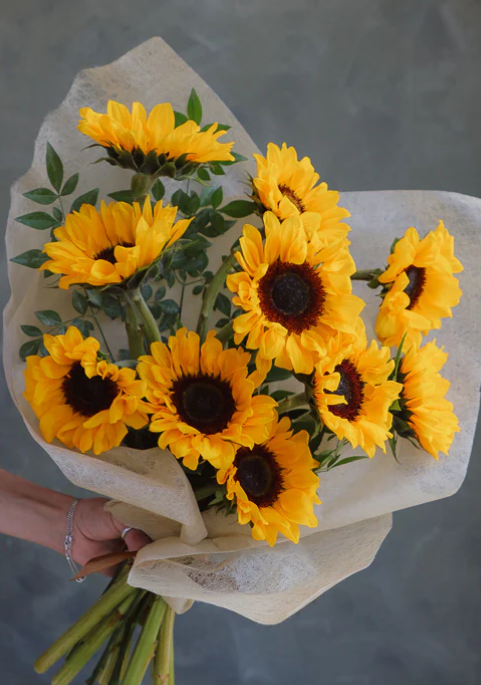 sunflowerchives's tweet photo. A little bunch of sunshine to brighten your feed. https://t.co/Z154ibaron