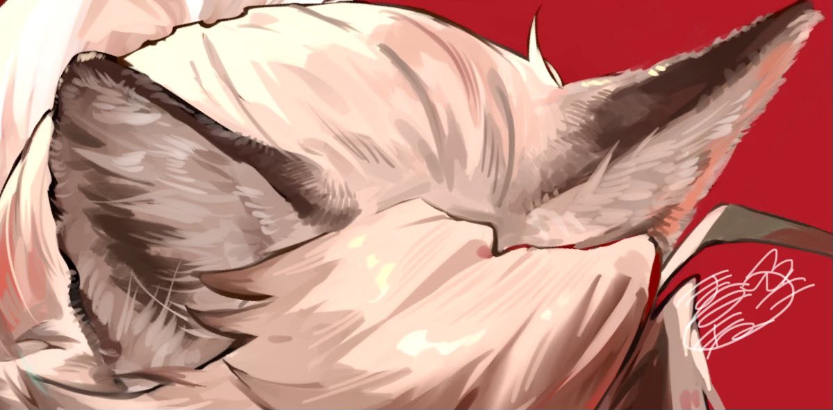 まるぎつね。@skeb募集 tweet media