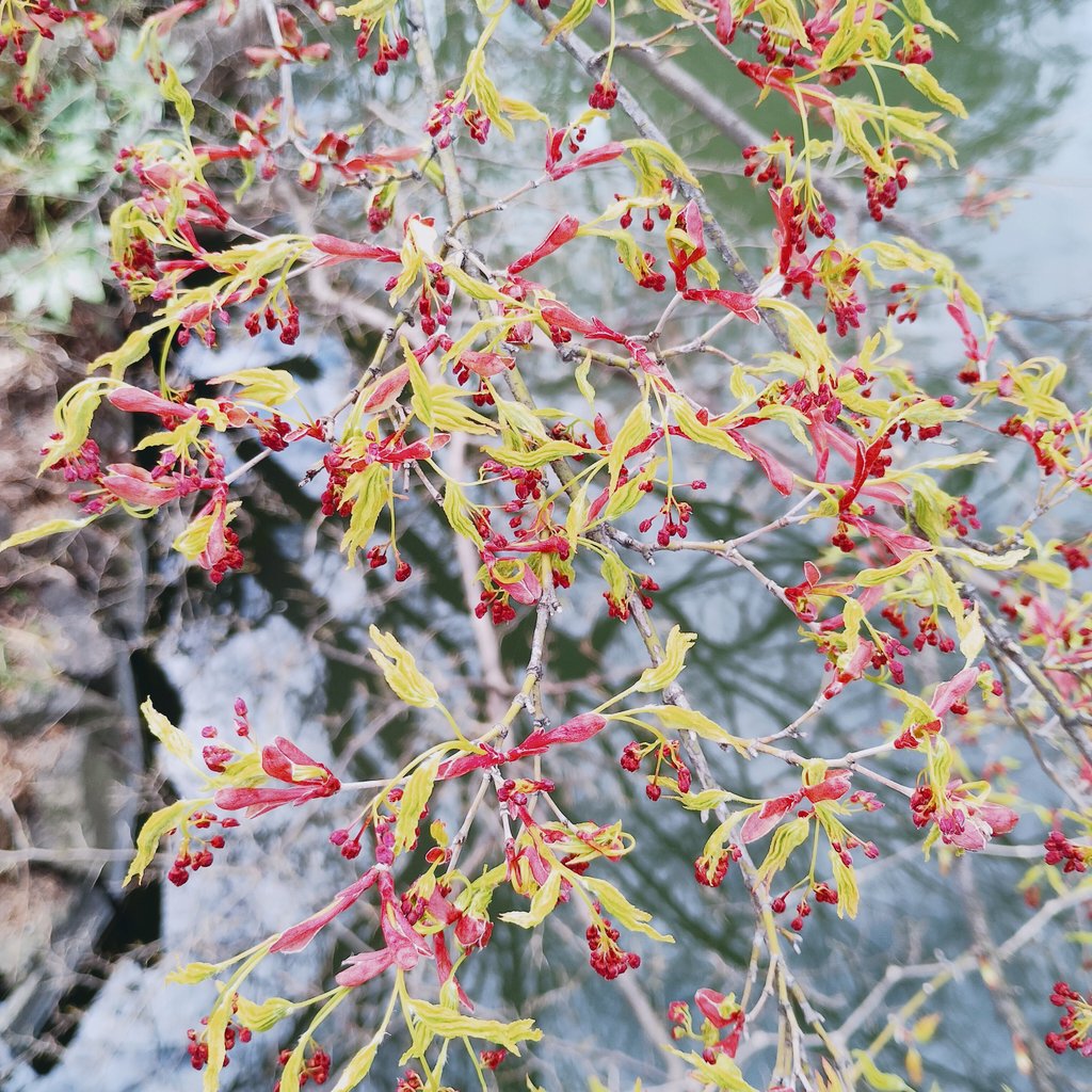 てぬたろ tweet media