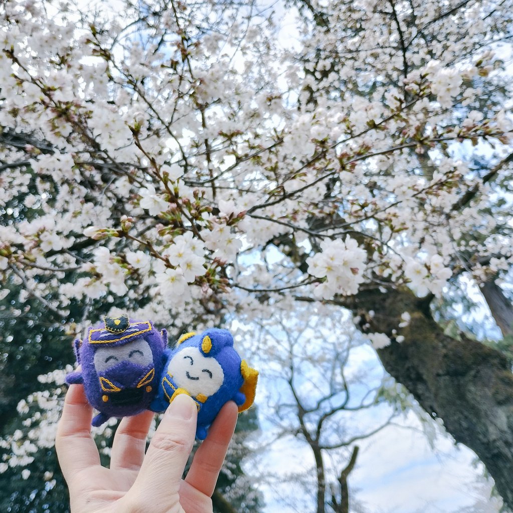 てぬたろ tweet media