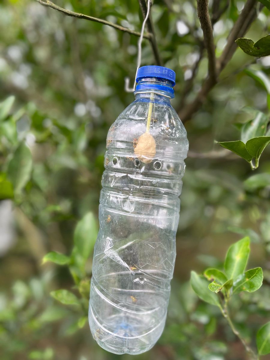 Khanif Irsyad tweet media