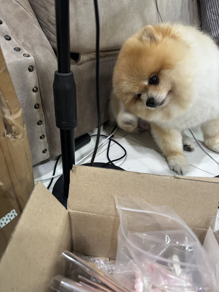 YC Publisher C-33 tweet media